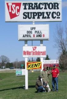 American Bulldog Club